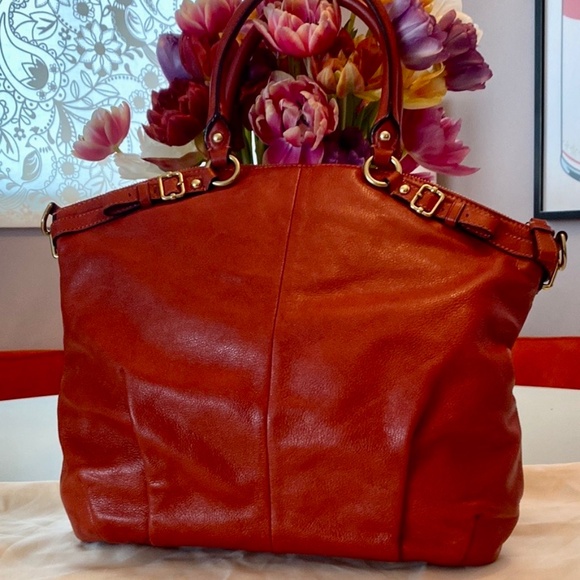 2011 Coach Persimmon Leather Lindsey Satchel - Picture 2 of 8